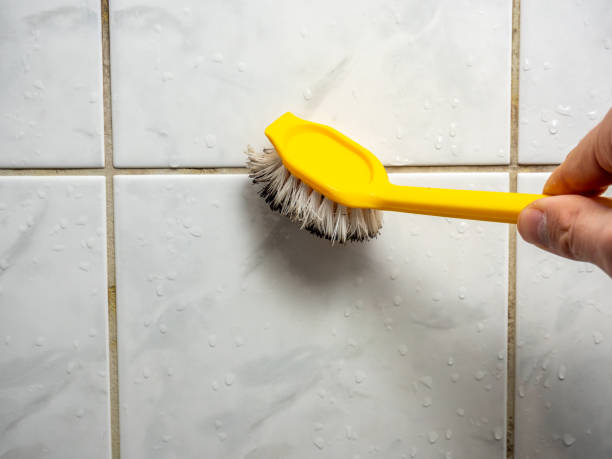 Best Basement Mold Remediation in Piney Point Village, TX